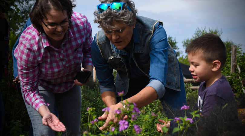 kim olson planting flowers